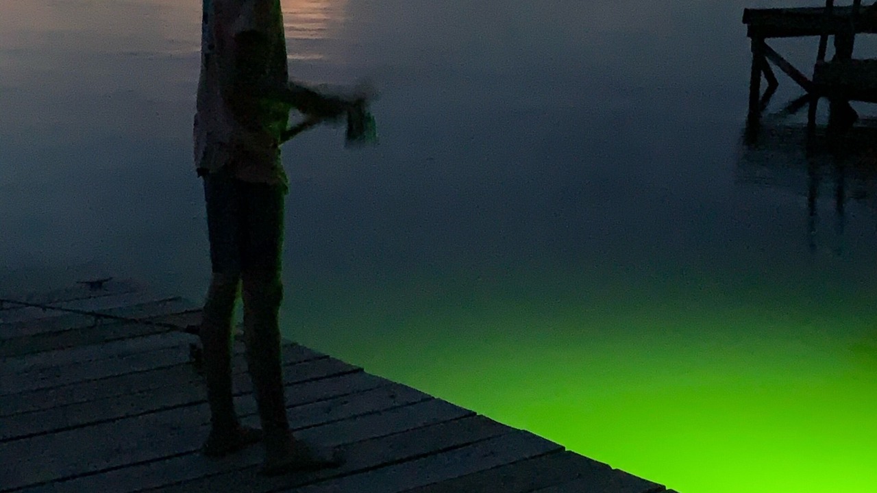 Photo of Others in St. Joseph