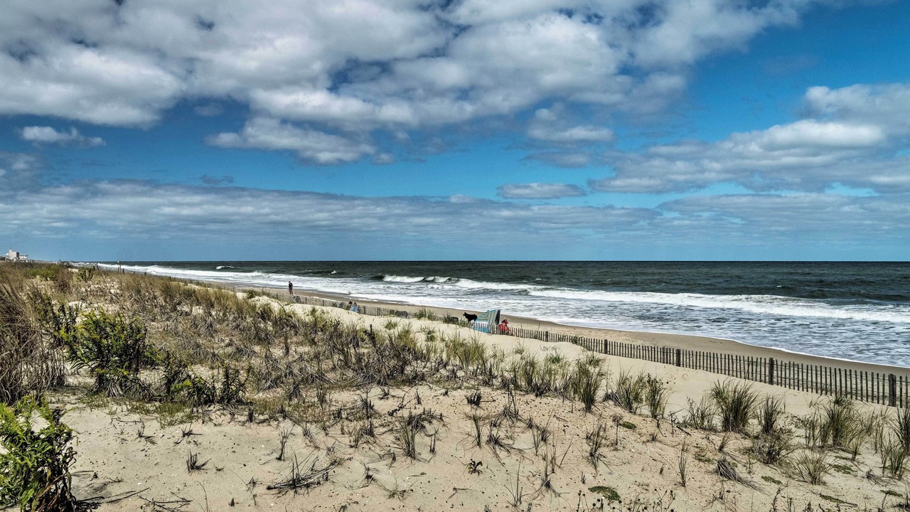 Photo of Others in Dewey Beach