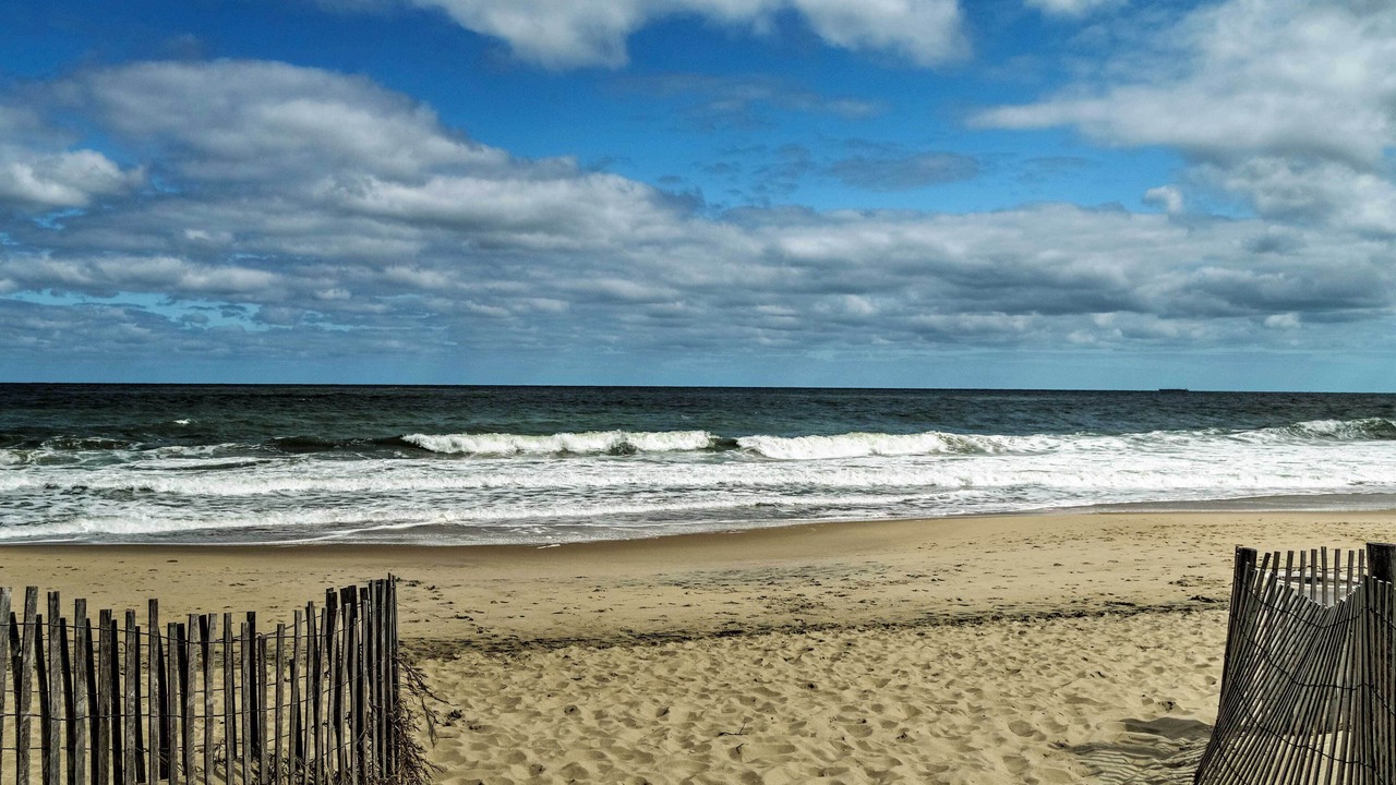 Photo of Others in Dewey Beach