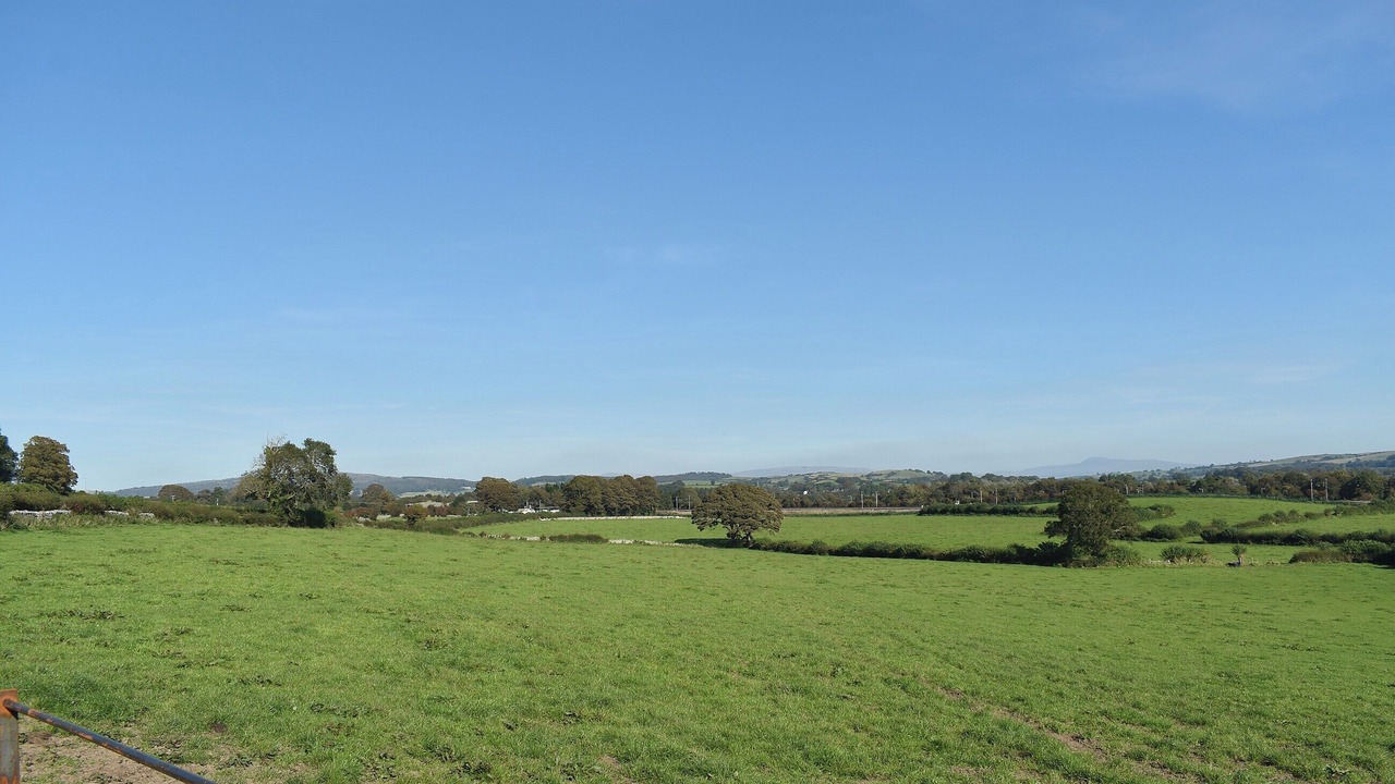 Photo of Others in Warton