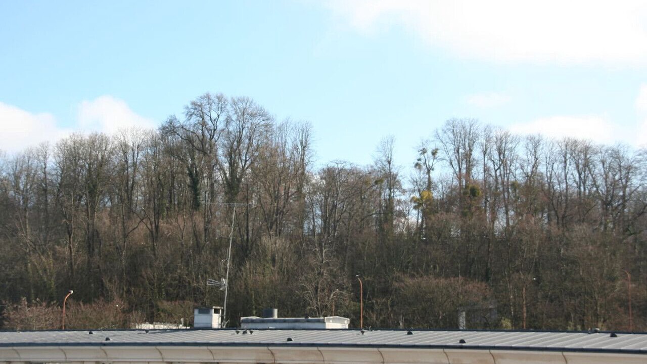 Photo of Others in Saint-Cloud