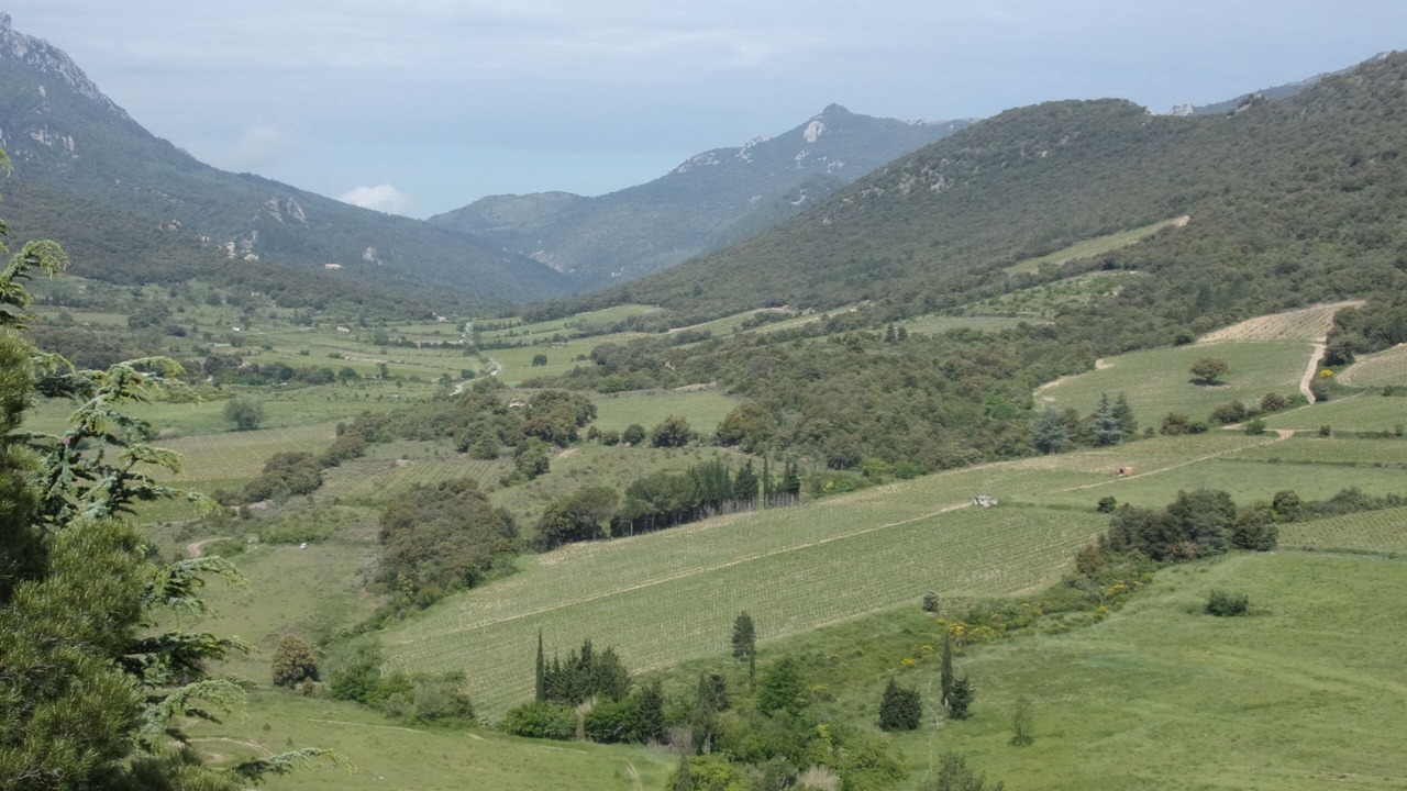 Photo of Outdoor in Maury