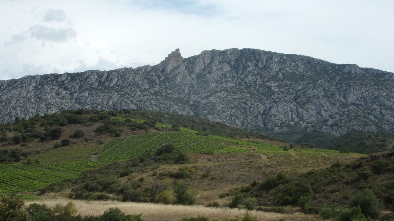 Photo of Outdoor in Maury