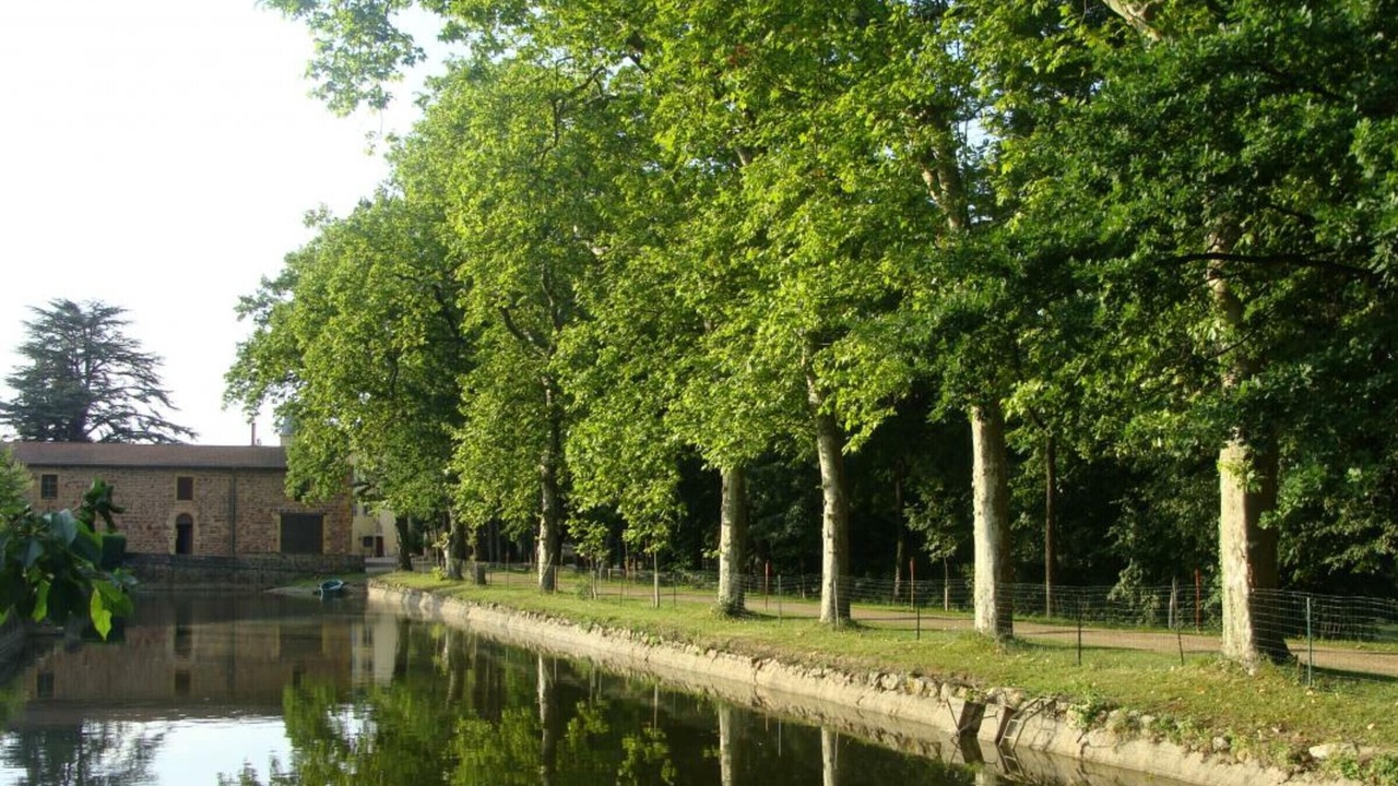 Photo of Outdoor in Parigny