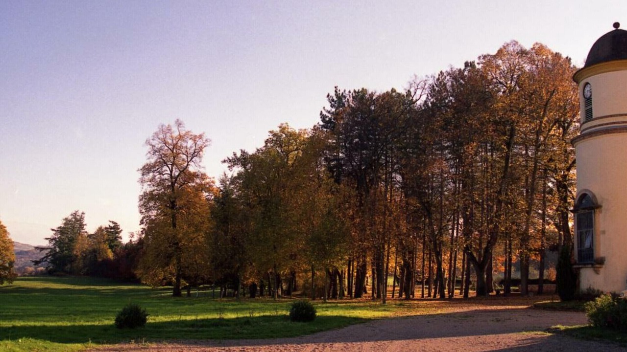 Photo of Others in Parigny