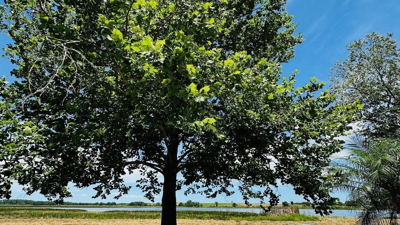 Photo of Outdoor in Clermont