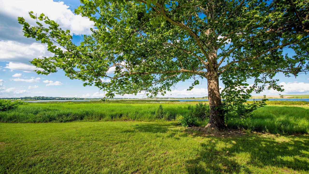 Photo of Outdoor in Clermont