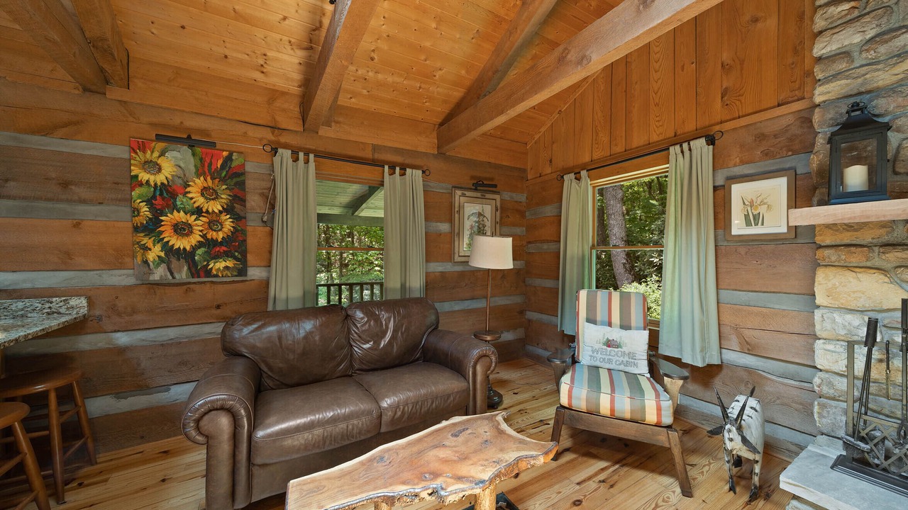 Photo of Livingroom in Boone