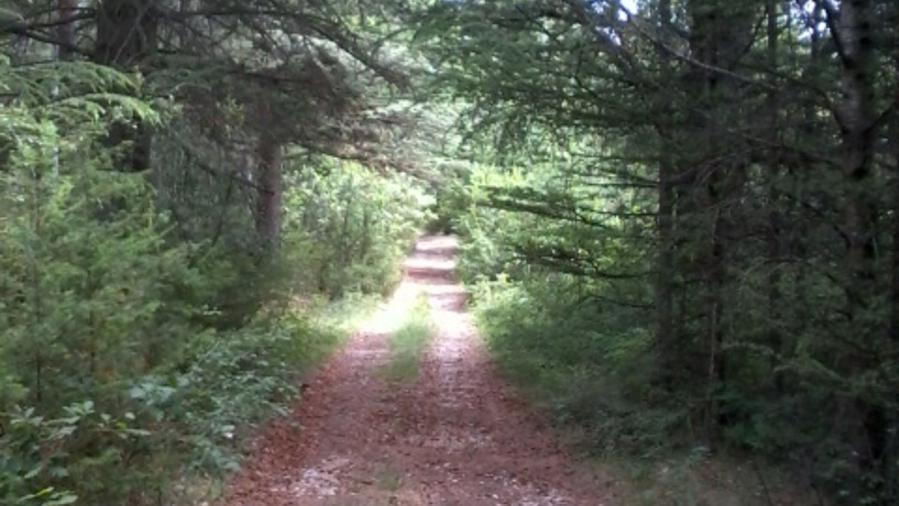 Photo of Outdoor in Saint-Etienne-les-Orgues