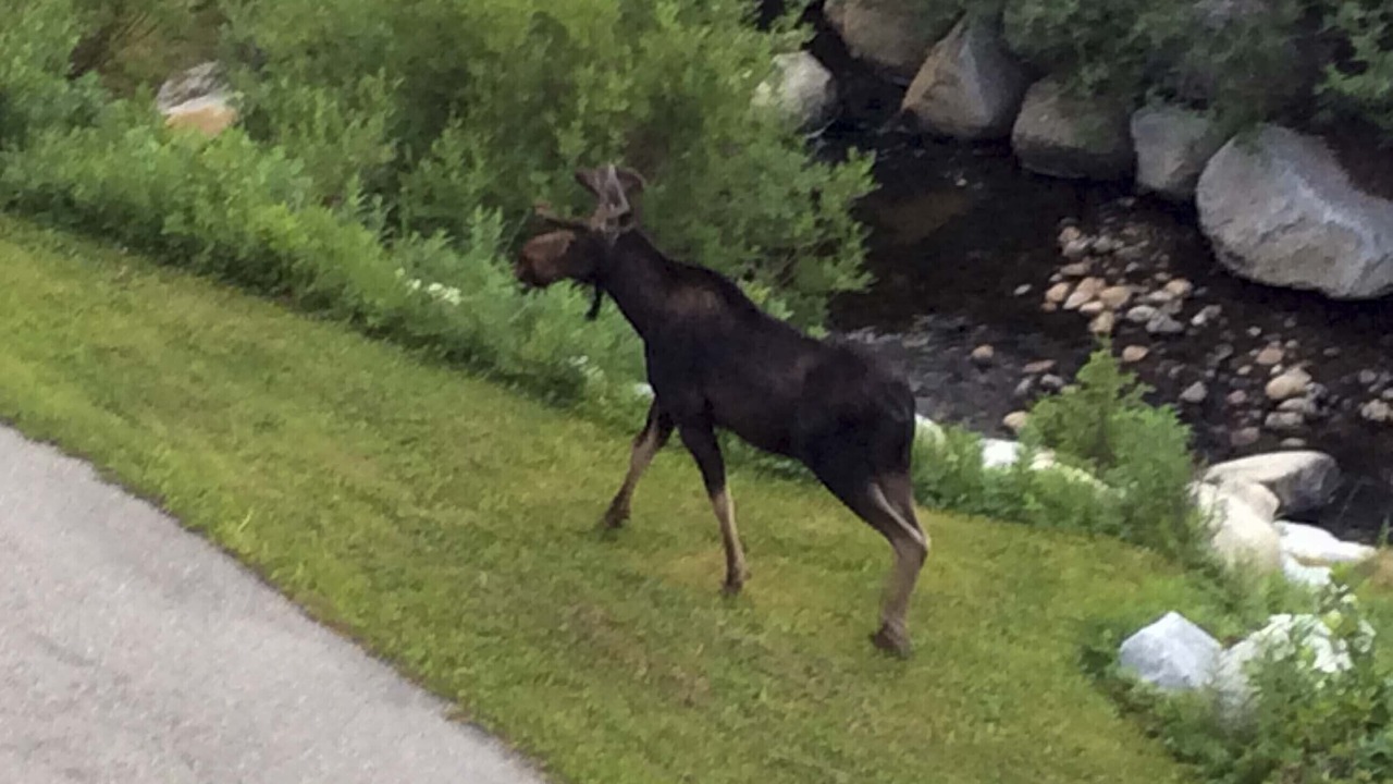 Photo of Outdoor in Salt Lake Mountain Resorts