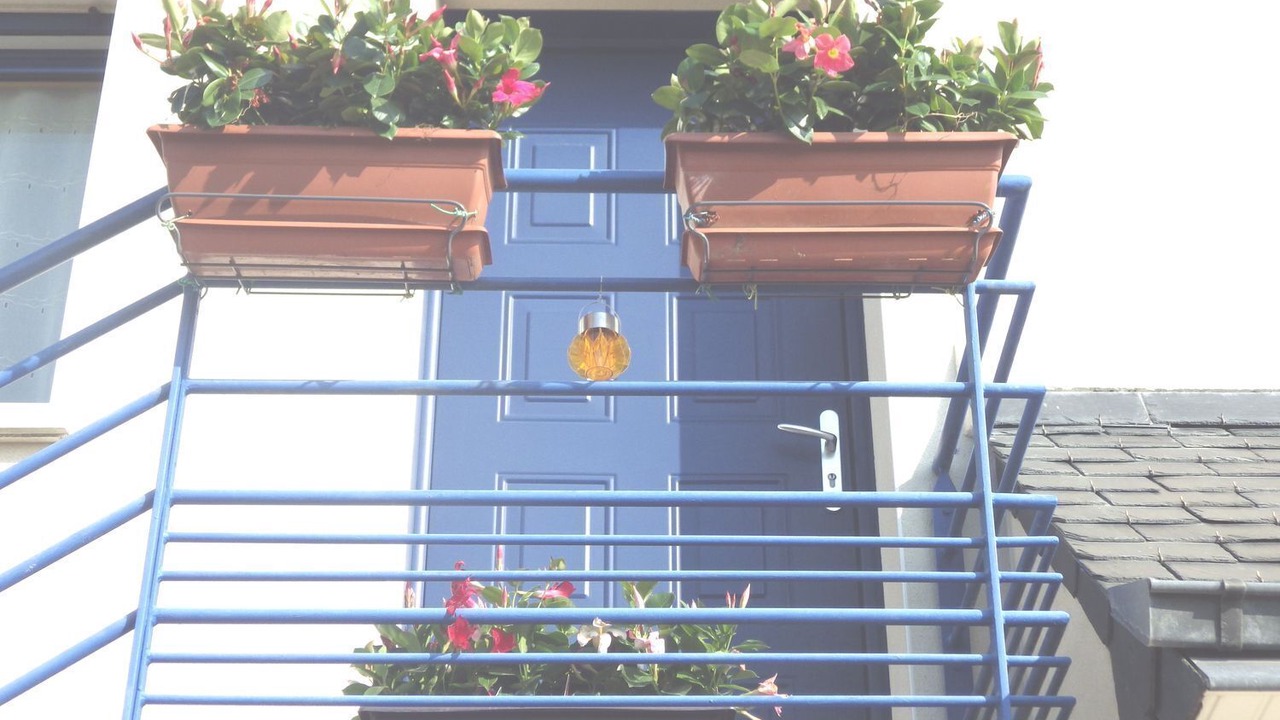 Photo of Outdoor in Saint-Pol-de-Leon