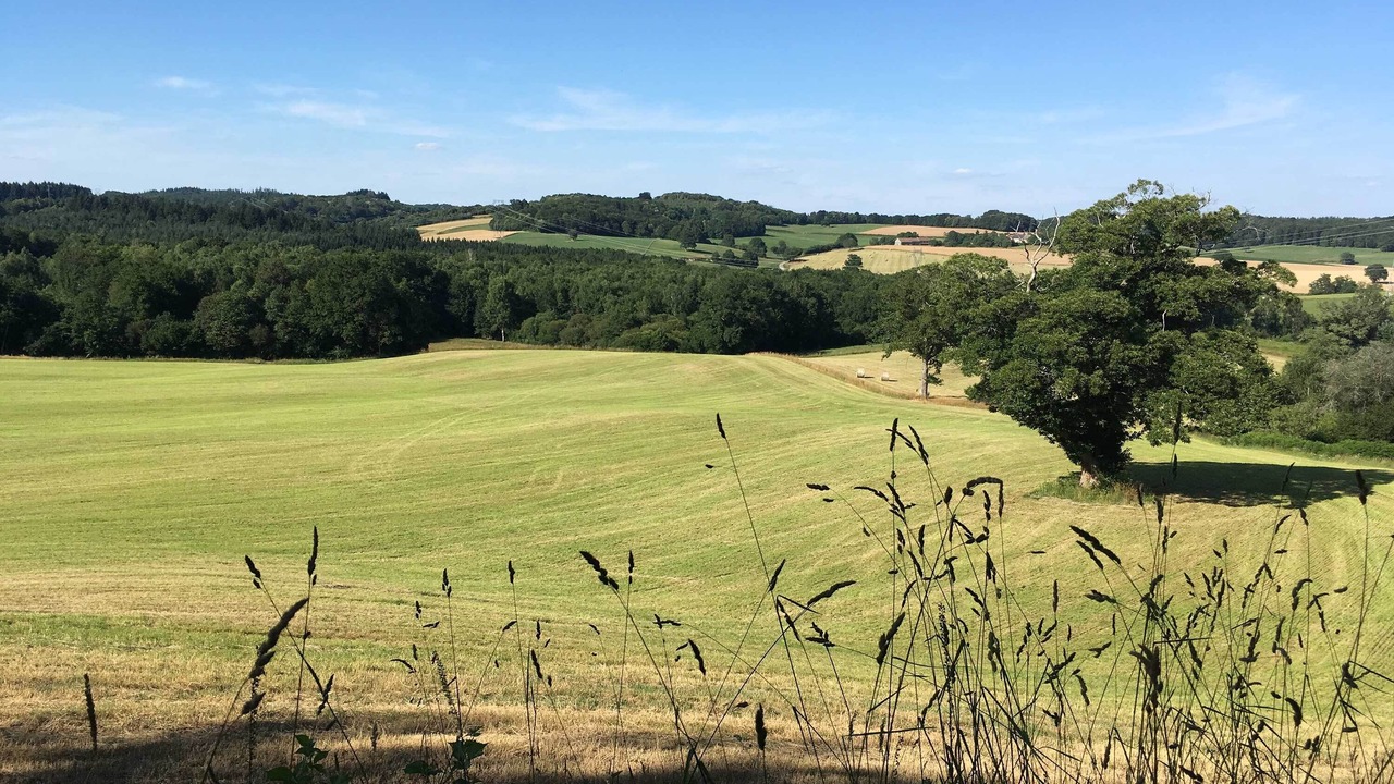 Photo of Outdoor in Saint-Dizier-Leyrenne