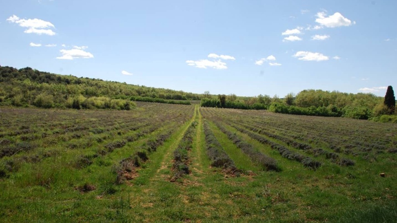 Photo of Outdoor in Salavas