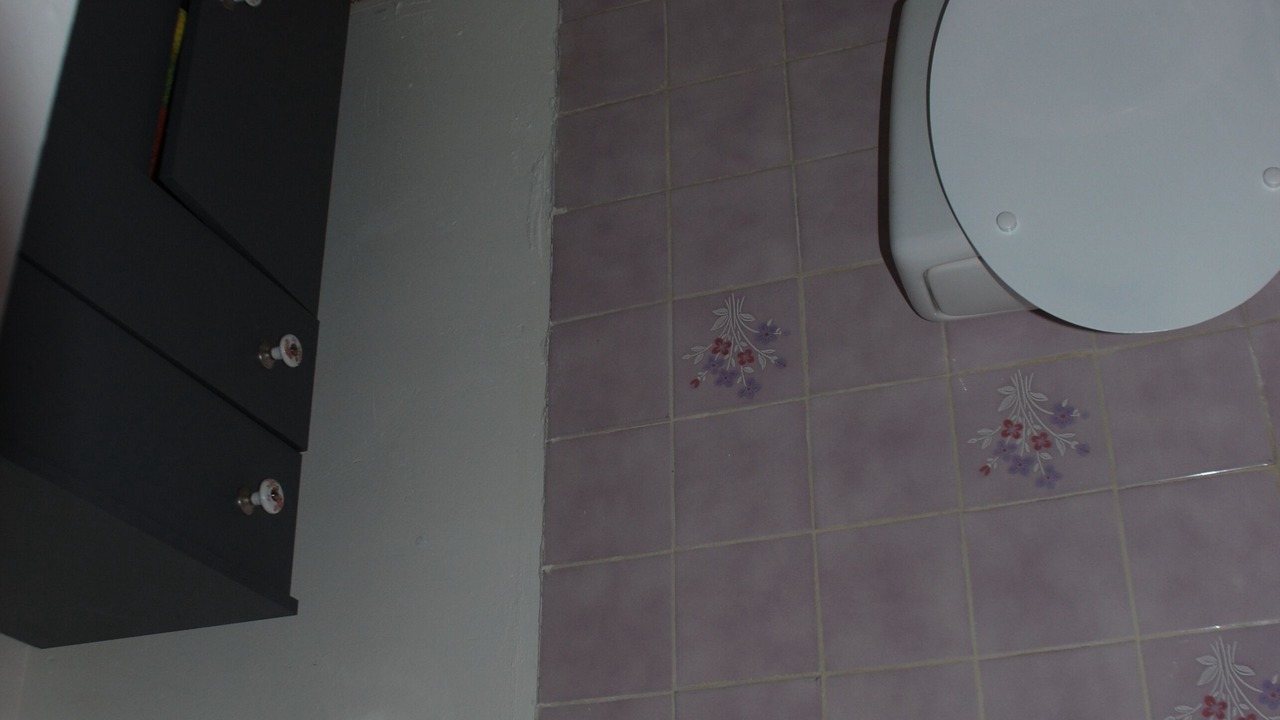 Photo of Bathroom in Salavas