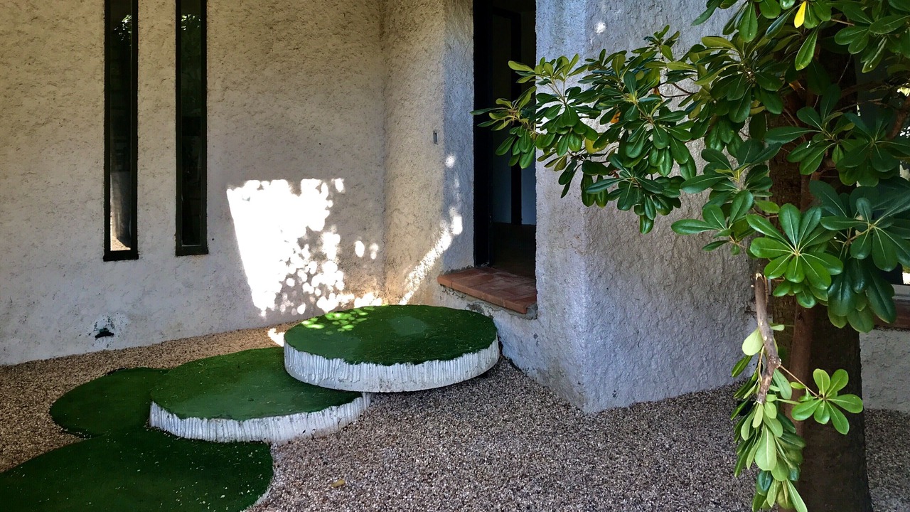 Photo of Outdoor in Saint-Cyprien