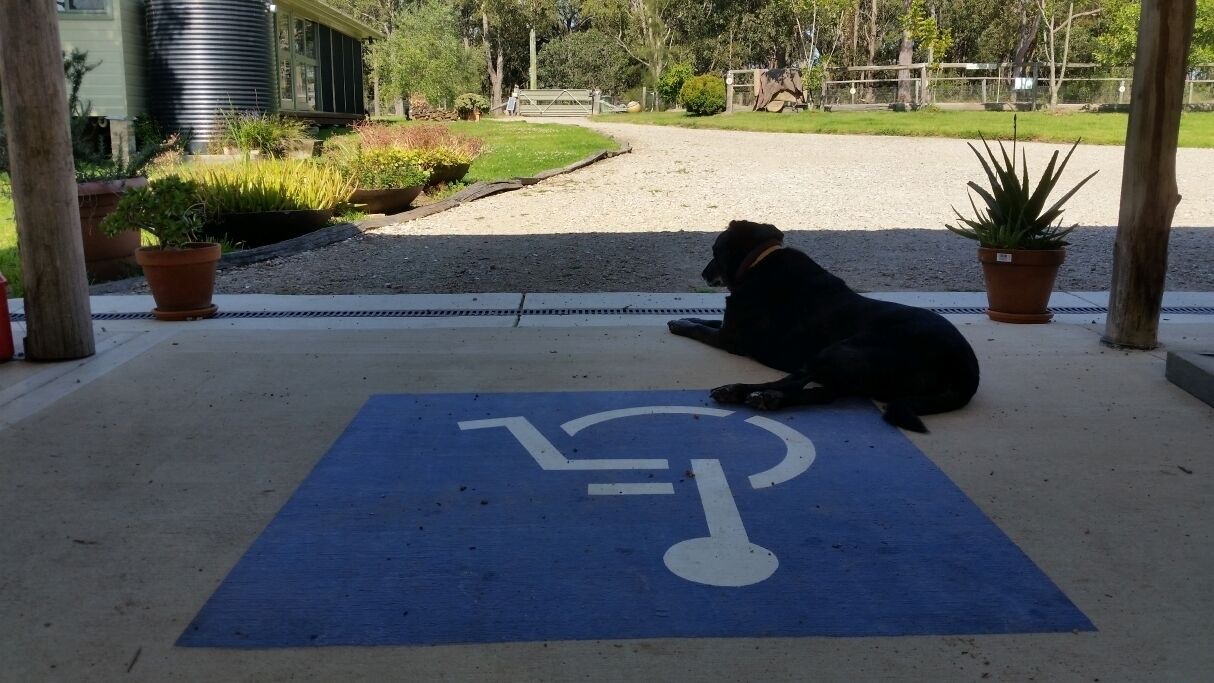 Photo of Outdoor in Mandalong