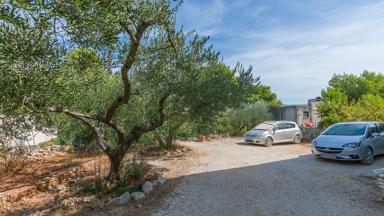 Photo of Outdoor in Cove Makarac (Milna)