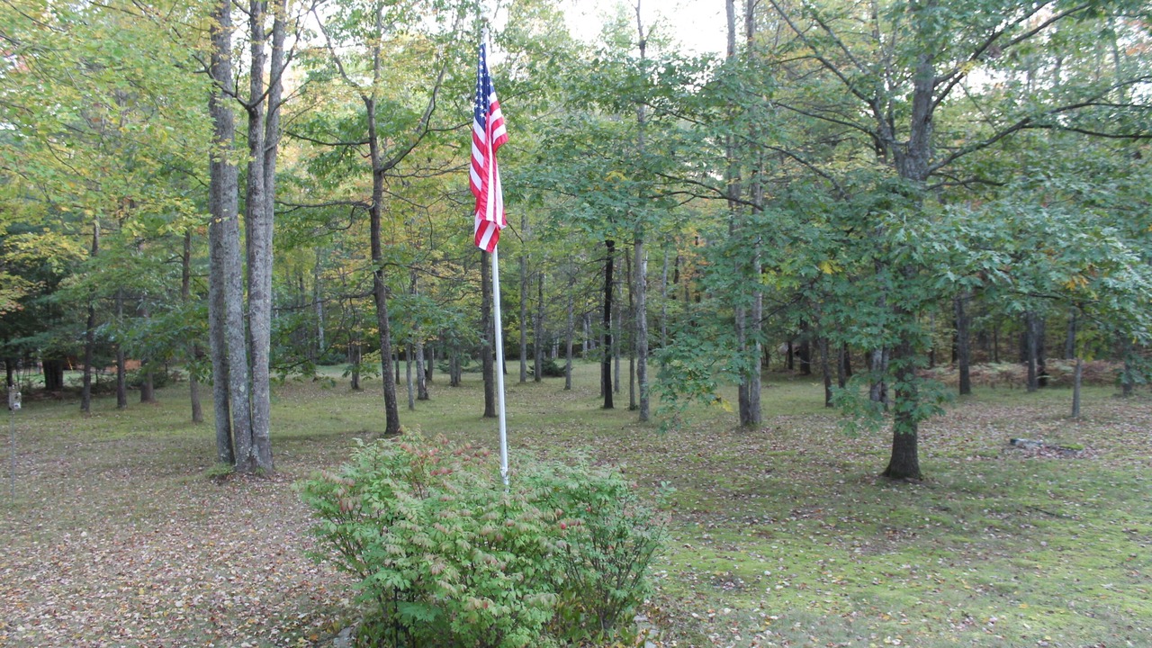 Photo of Outdoor in Harrietta