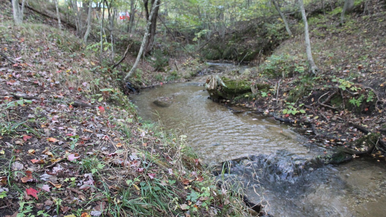 Photo of Outdoor in Harrietta
