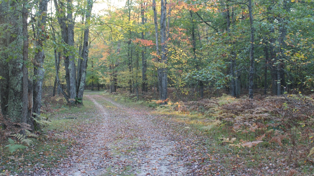 Photo of Outdoor in Harrietta