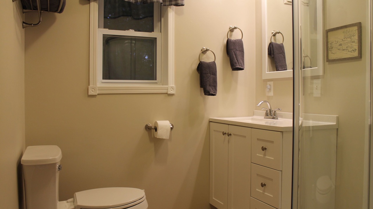 Photo of Bathroom in Harrietta