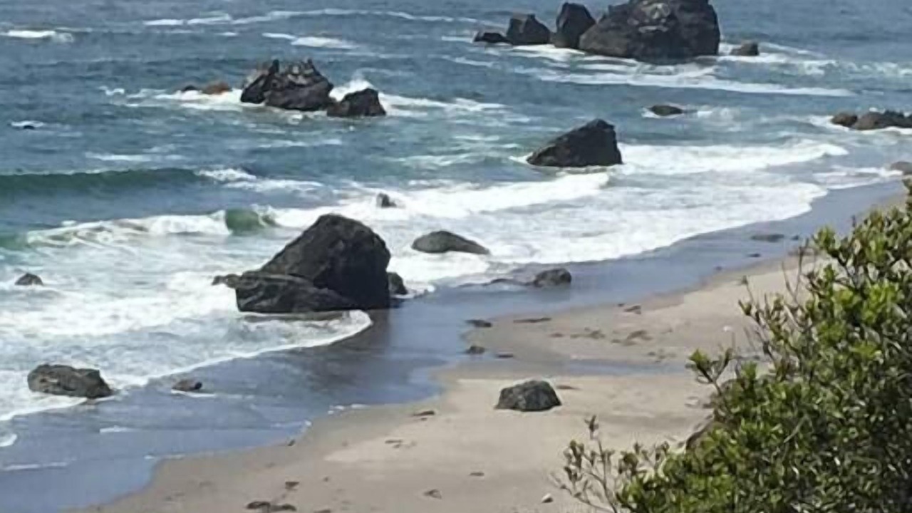 Photo of Others in Brookings