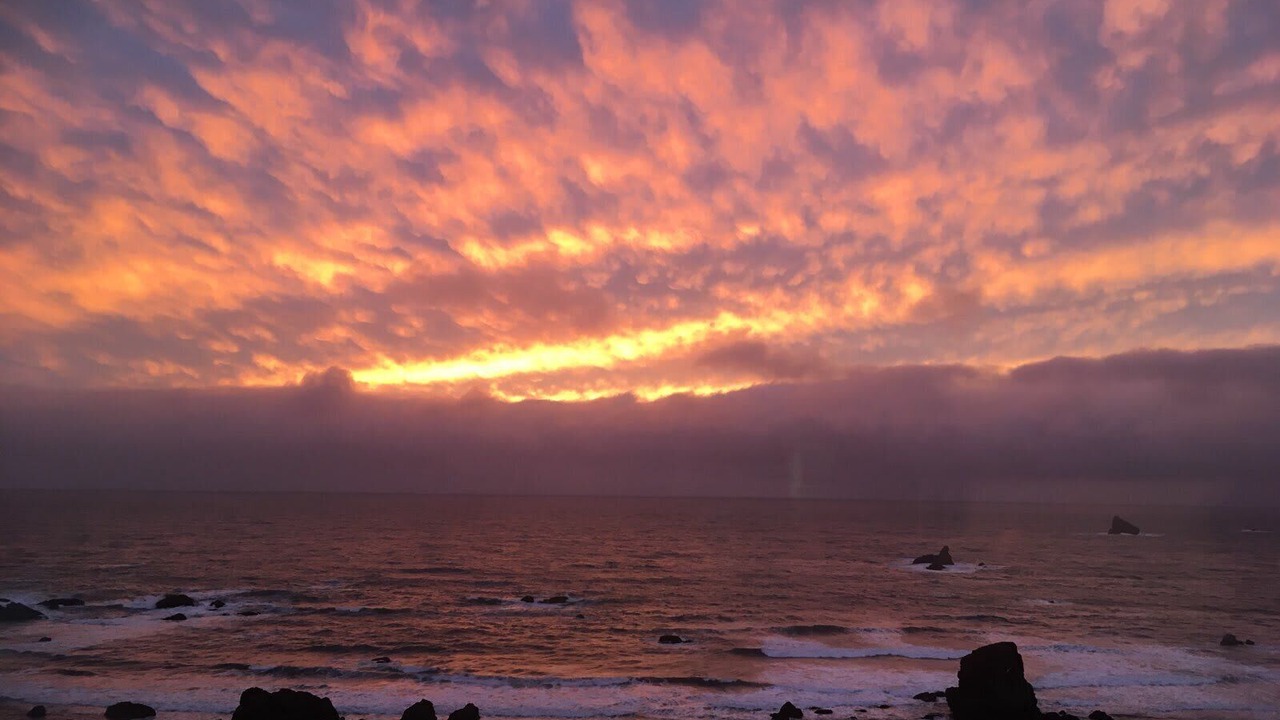 Photo of Others in Brookings