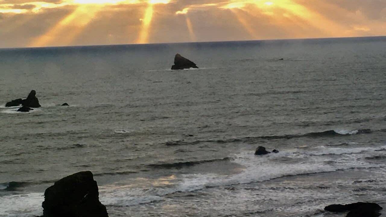 Photo of Others in Brookings