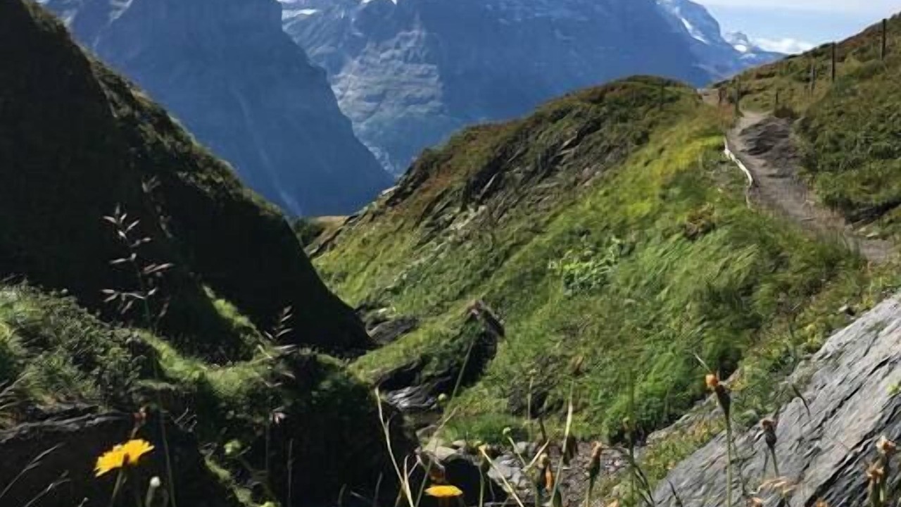 Photo of Outdoor in Grindelwald