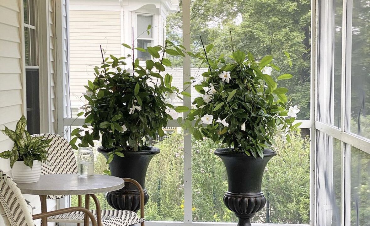 Photo of Outdoor in Litchfield Historic District