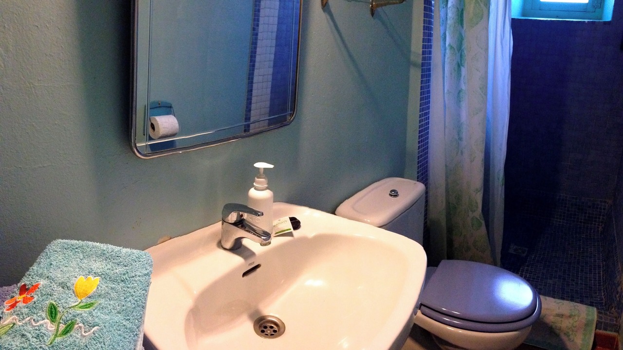 Photo of Bathroom in Banyeres del Penedes