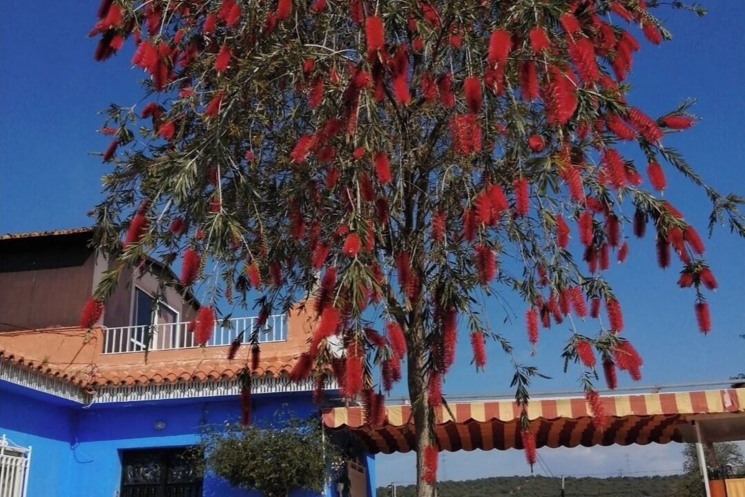 Photo of Patio Balcony in Guillena