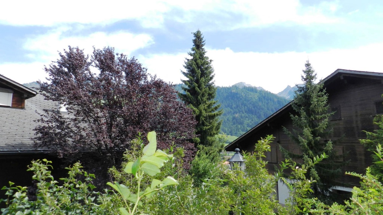 Photo of Others in Zweisimmen