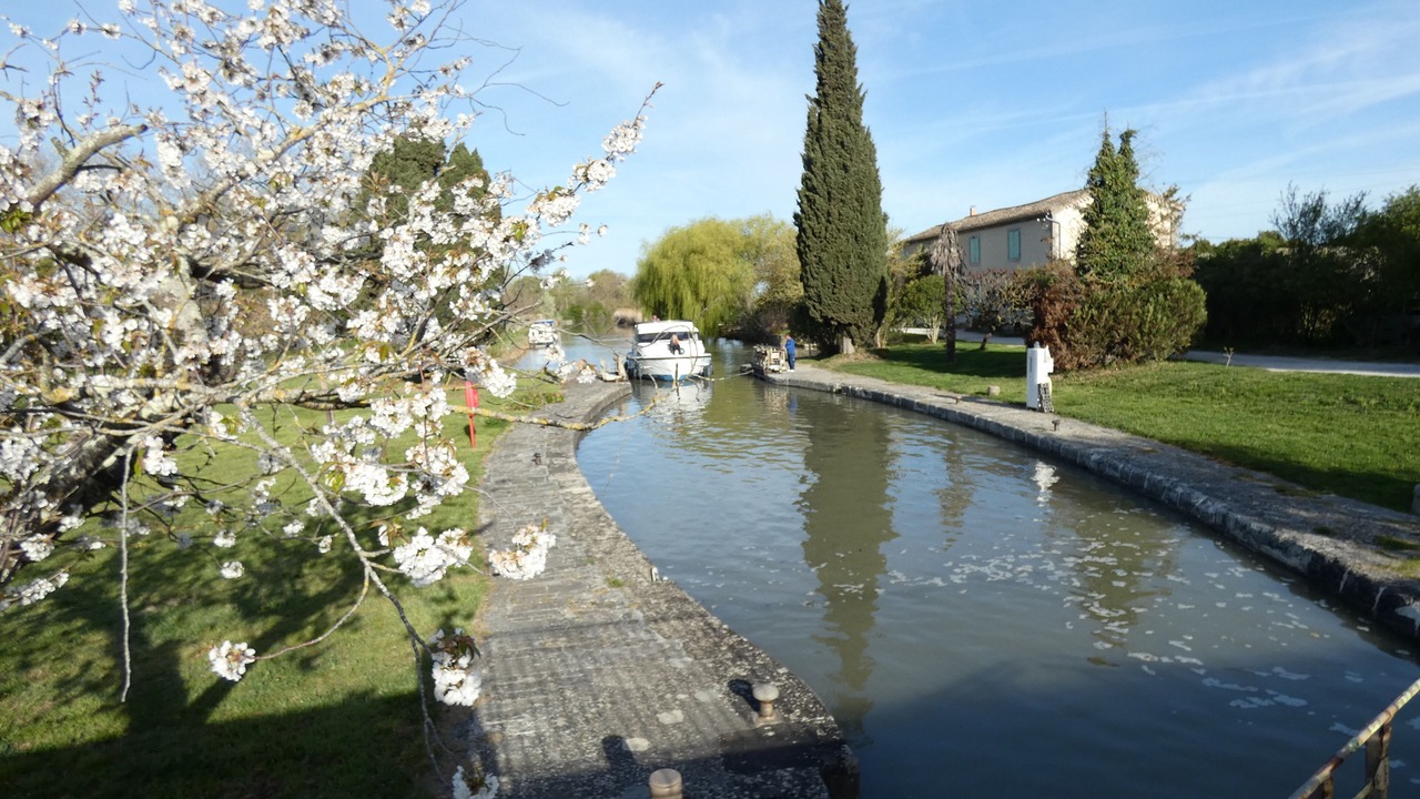 Photo of Outdoor in Alzonne