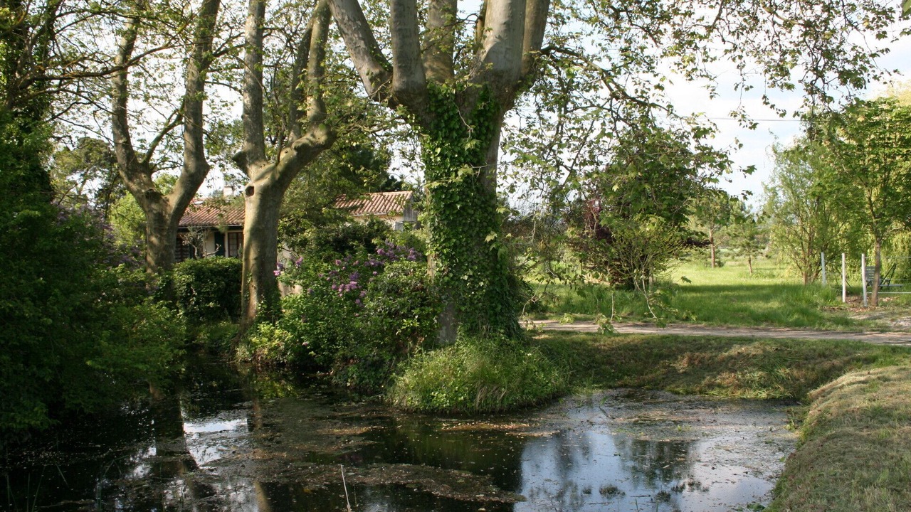 Photo of Outdoor in Alzonne