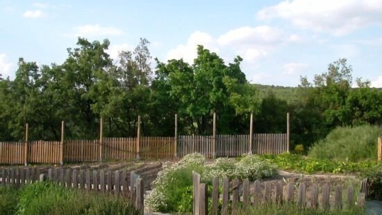 Photo of Outdoor in Castigaleu