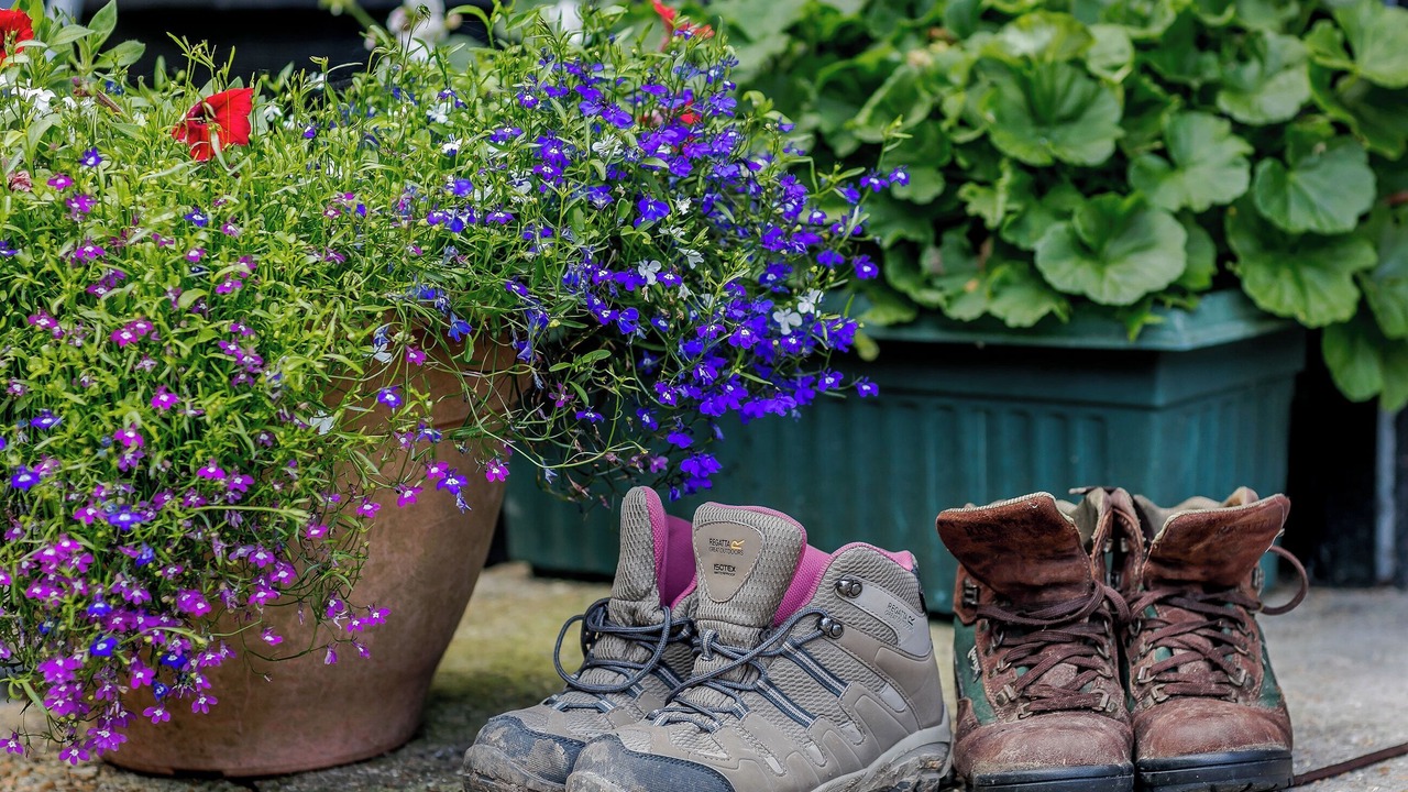Photo of Outdoor in Steyning
