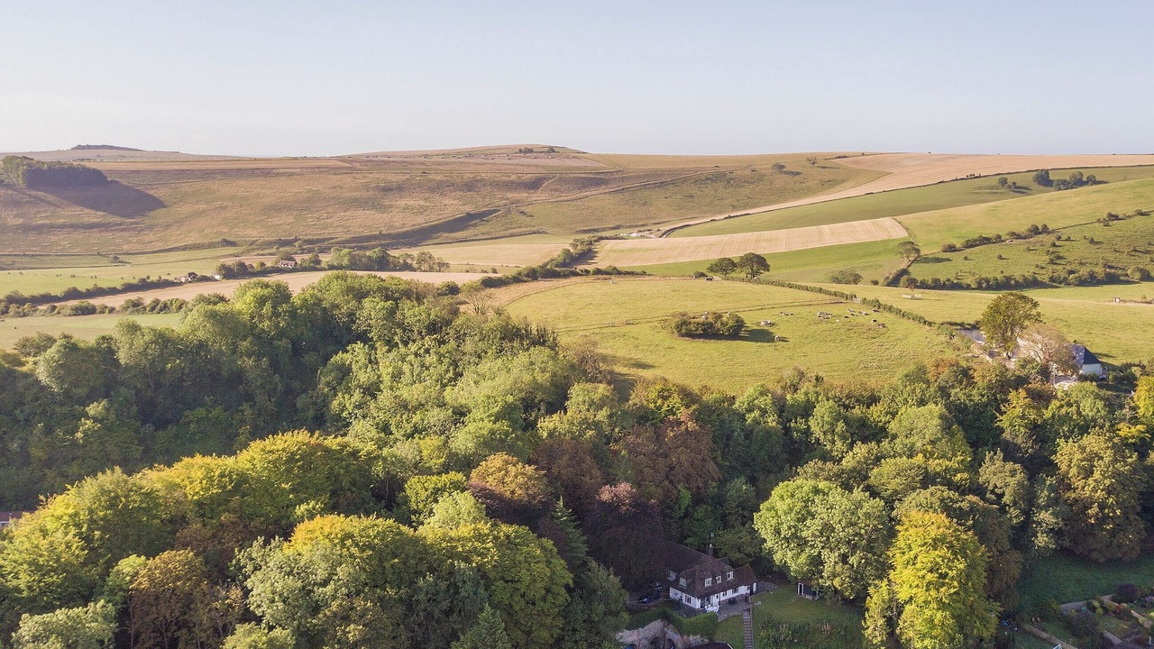 Photo of Others in Steyning