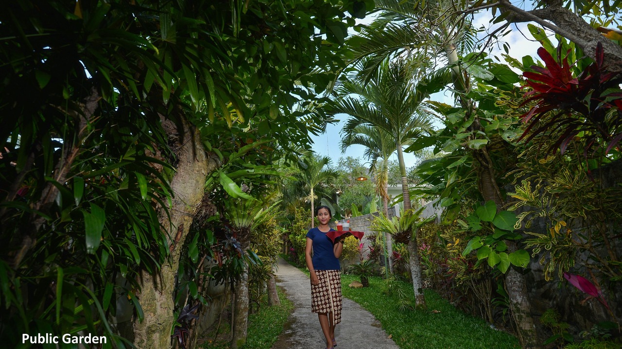 Photo of Outdoor in Tegallalang