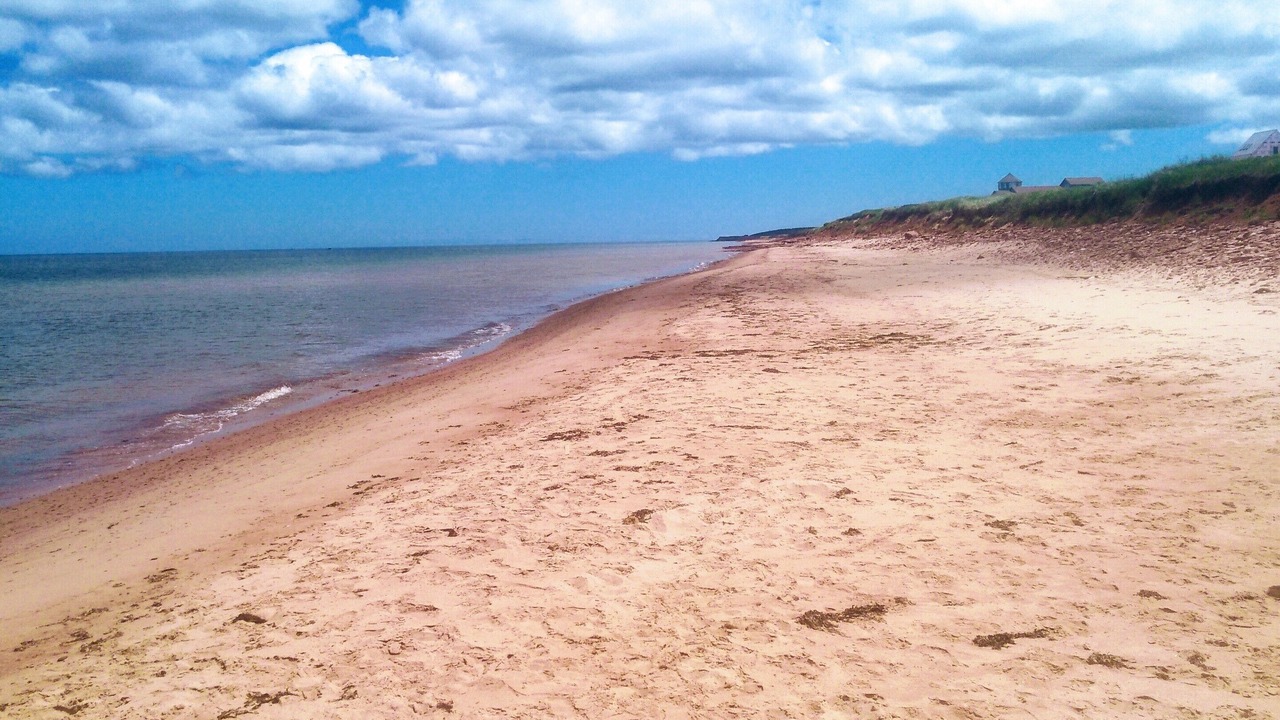 Photo of Others in Saint Peters Bay