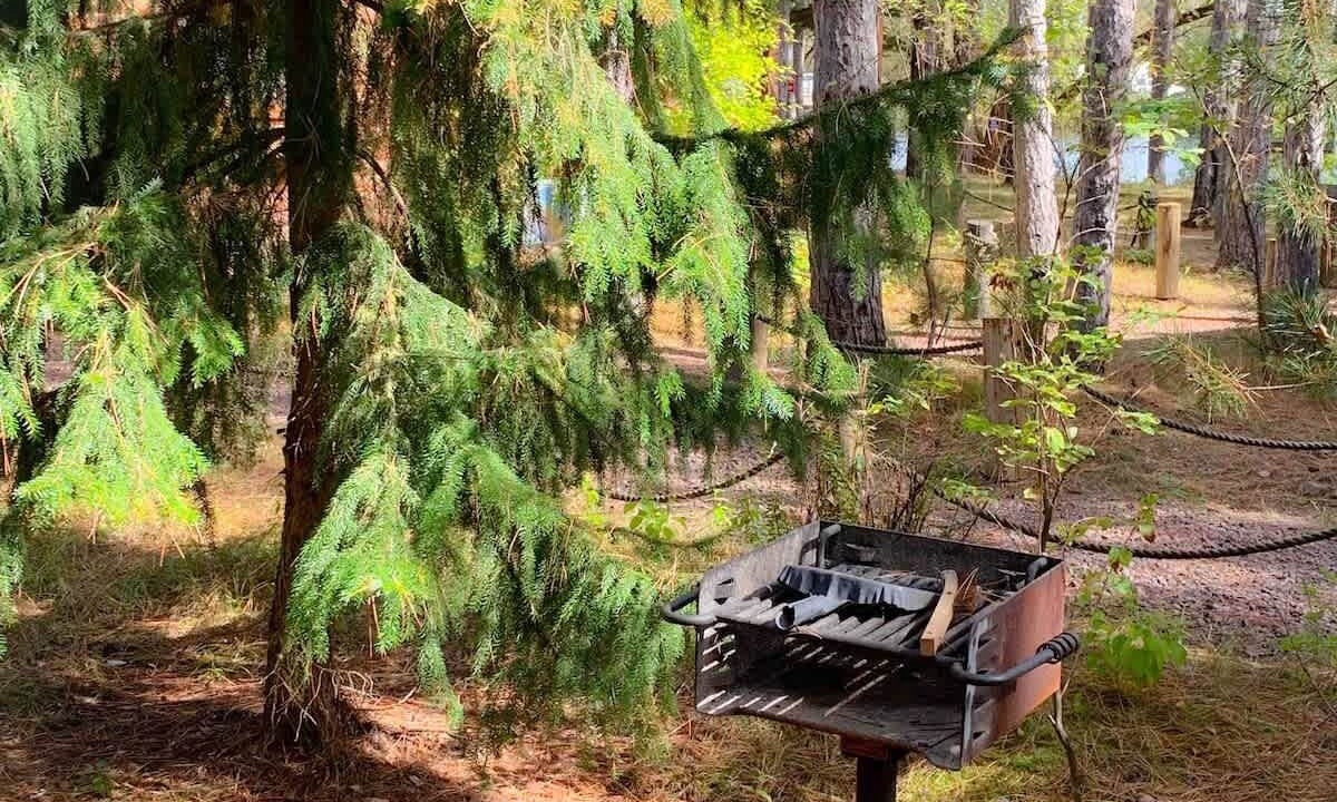 Photo of Outdoor in Hayward