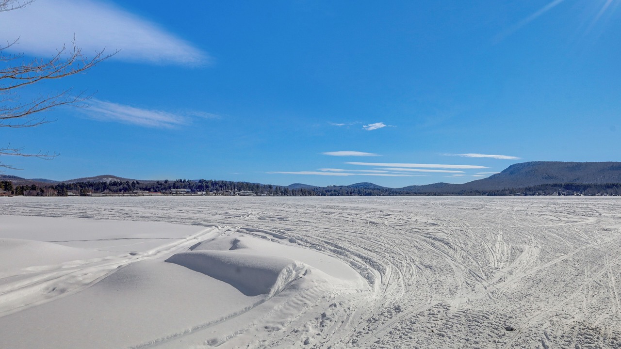 Photo of Others in Speculator