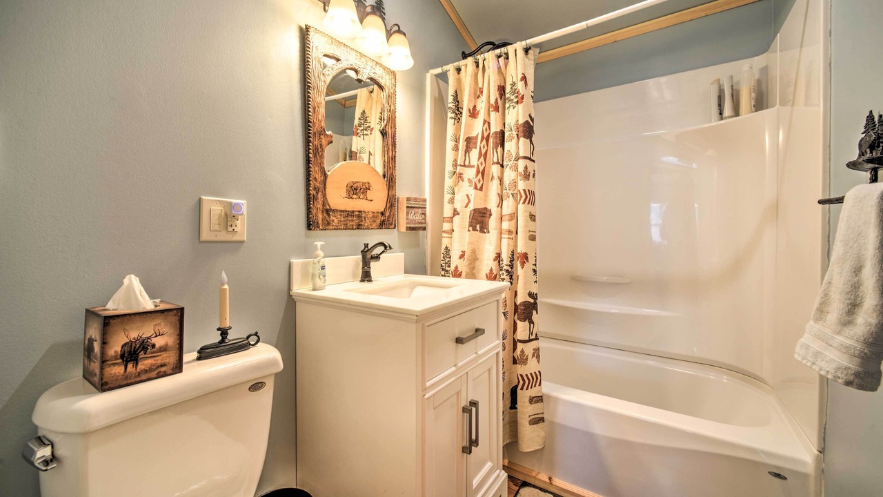 Photo of Bathroom in Speculator