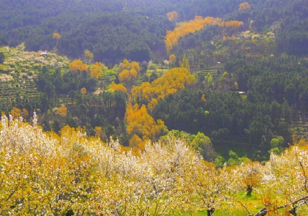 Photo of Outdoor in El Arenal