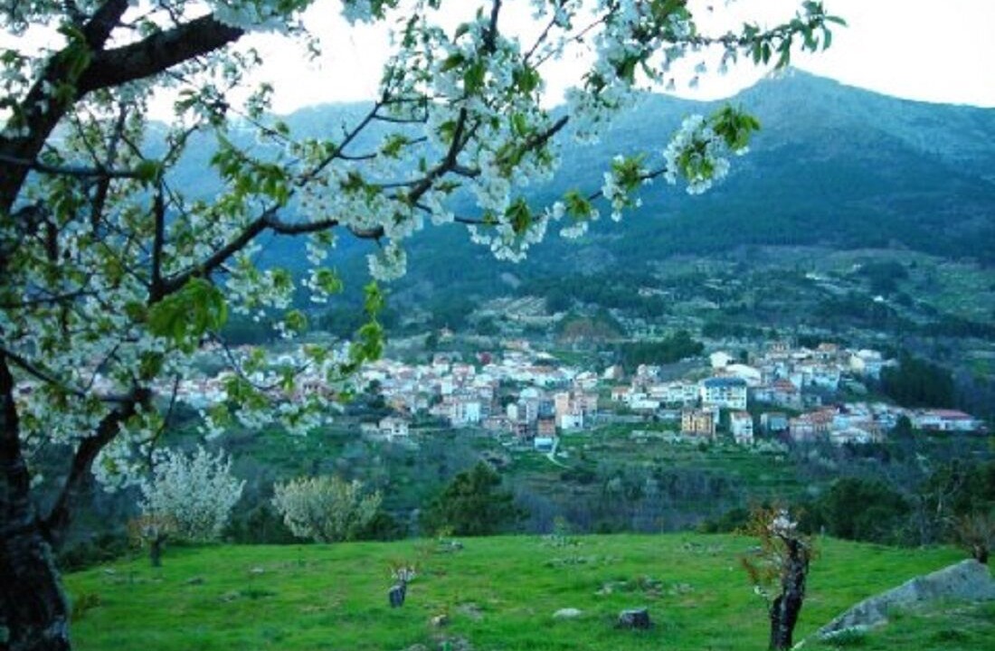 Photo of Outdoor in El Arenal
