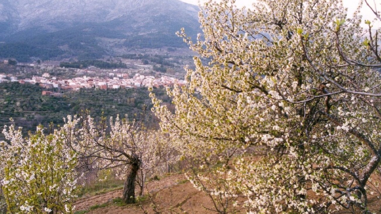 Photo of Outdoor in El Arenal