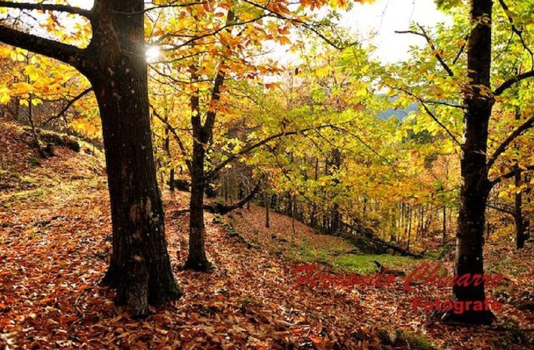 Photo of Outdoor in El Arenal