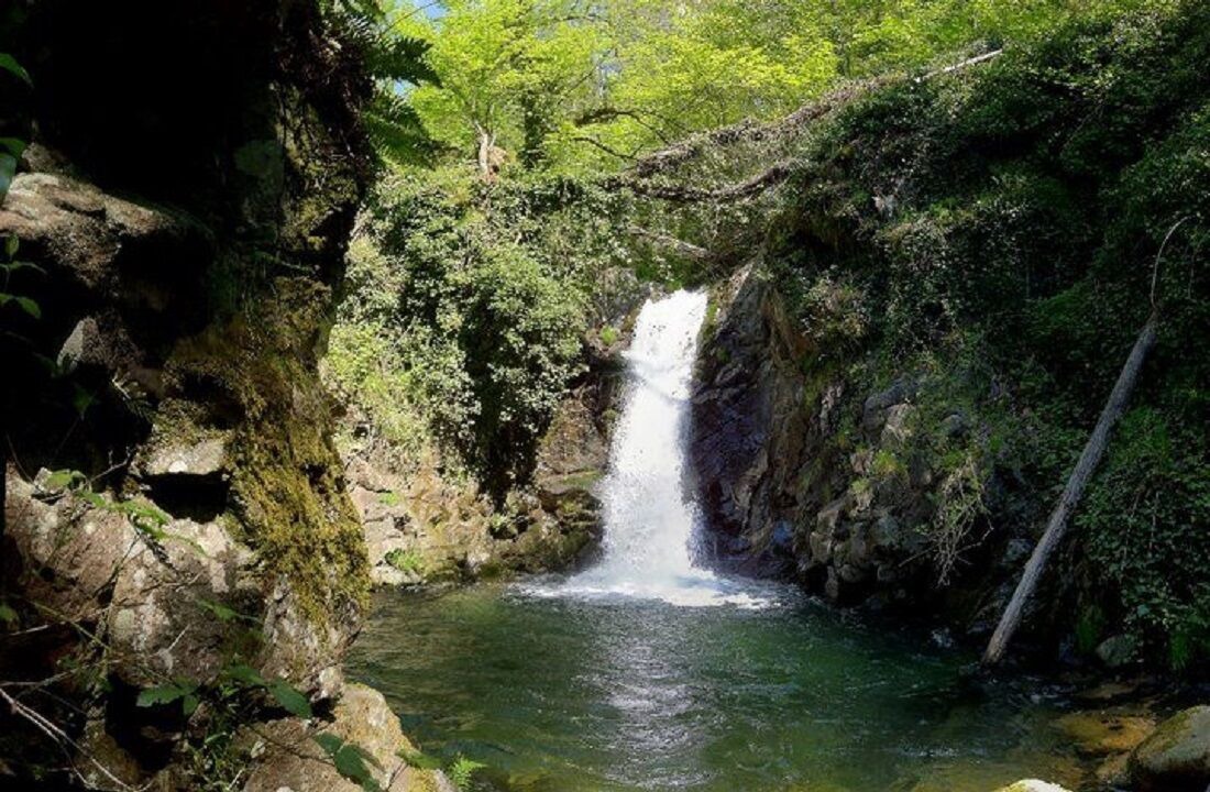 Photo of Outdoor in El Arenal