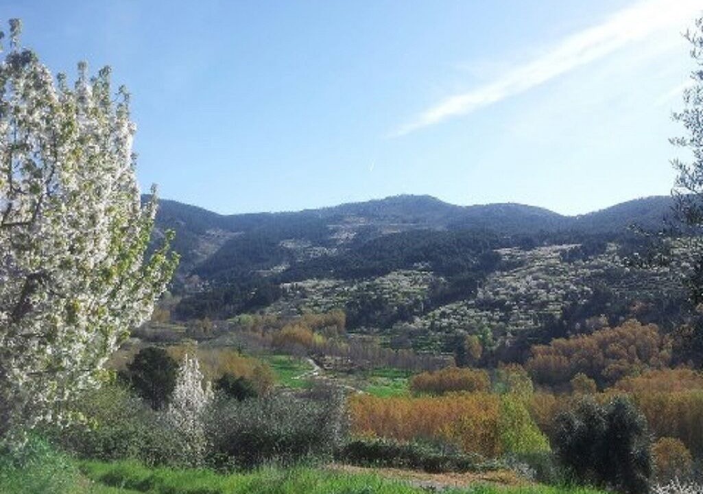 Photo of Outdoor in El Arenal