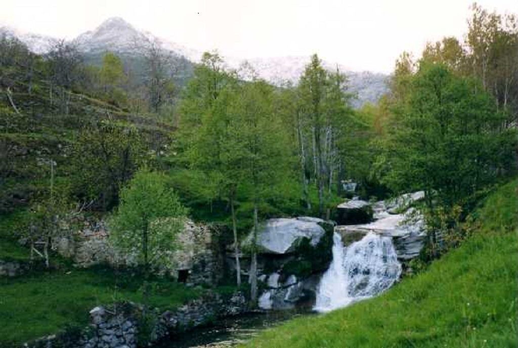 Photo of Outdoor in El Arenal